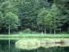 Кузеранс - Озеро Вифмал и его берег засажены деревьями с рыбаком (рыбалка); в региональном природном парке Арьеж Пиренеи, в долине Вифмале