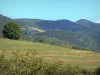 Кузеранс - Вид на холмы, покрытые лугами и деревьями; в региональном природном парке Арьеж Пиренеи
