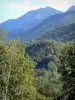 Кузеранс - Холмы обсажены деревьями; в региональном природном парке Арьеж Пиренеи