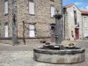 Лаводье - Фонтан, ратуша и дома поселка