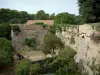 Леринские острова - Иль-Сен-Маргерит: крепостные стены форта Роял и деревья
