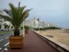 Ле-Сабль-д'Олонн - Набережная украшена пальмами, пляжем, улицей и зданиями морского курорта