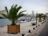 Ле-Сабль-д'Олонн - Набережная, украшенная пальмами, рыбацкий порт с его рыбацкими лодками, дома и здания