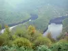 Меандр Queuille - Вид меандра (петли), образованного рекой Сиуле, лесными берегами и деревьями на переднем плане