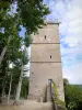 Монбар - Замок Монбар : башня Обеспен, остатки старой крепости, в парке Буффон