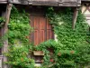 Морэ-сюр-Луан - Окно фахверкового дома выложено вьющимися растениями