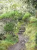 Национальный парк Реюньон - Тропинка, ведущая к перевалу Тайбит