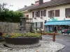 Нозерой - Цветочный фонтан (цветы), магазин и деревенские дома