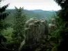 Нойнтельштейн