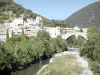 Ньоны - Река Эйгес с деревьями, романский мост и дома старого города