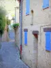 Ньоны - Фасад каменного дома с голубыми ставнями и мощеной аллеей старого города