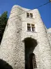 Ньоны - Старый замок, бывший феодальный замок