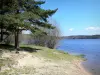 Озеро Лавалет - Деревья на краю воды