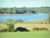 Озеро Мадин - Региональный природный парк Лотарингии - вид на озеро и его зеленые берега