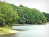 Озеро Фейт - Водоем окружен деревьями