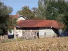Пейзажи Айна - Savoyard Bresse: Брессанская ферма и поле