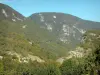 Пейзажи Айна - Региональный природный парк Верхняя Юра (горы Юра): горы, покрытые деревьями