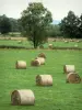 Пейзажи Арденн - Стога сена на лугу