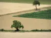 Пейзажи Бургундии - Два дерева в окружении полей