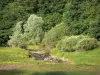 Пейзажи Бургундии - Цветущий луг, ручей и деревья; в Региональном природном парке Морван