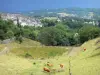 Пейзажи Корреза - Дома средневекового поселка Донзенак в зелени, на переднем плане стадо лимузинских коров на пастбище