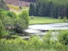 Пейзажи Корреза - Региональный природный парк Миллевах на плато Лимузен - Миллевах: пруд Уссин в зеленом