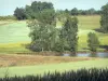 Пейзажи Корреза - Поля и деревья у кромки воды