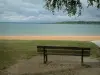 Пейзажи Оби - Листья ветви дерева и деревянная скамейка с видом на песчаный пляж, Восточное озеро и лес (Региональный природный парк Восточного леса)