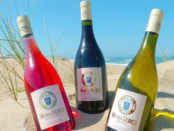 Песочное вино - Гастрономический путеводитель: отдых и выходные в департам Ланды
