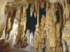 Пещеры Истуриц и Оксочелхайя - Гид по туризму, отдыху и проведению выходных в департам Атлантические Пиренеи