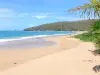 Пляжи Гваделупы - Жемчужный пляж, на острове Бастер, в городе Дешай: светлый песок, зелень и Карибское море