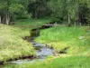 Поднос - Региональный природный парк Миллевах в Лимузене: ручей в окружении деревьев и лугов