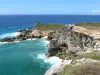 Пуант де Шато - Скалы и скалы оконечности Замков с видом на Атлантический океан