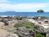 Пуант де Шато - Путешественники осматривают дикий участок Шато-Пуант, Атлантического океана, Ла-Рош и острова Дезирад на заднем плане