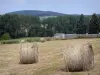 Региональный природный парк Нормандия-Мэн - Стога сена в поле и деревья на заднем плане