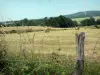 Региональный природный парк Нормандия-Мэн - Забор на переднем плане и поле со стогами сена