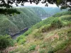 Сайт Сен-Назера - Панорама ущелий Дордонь со стороны Сен-Назера, расположенного в муниципалитете Сен-Жюльен-Пре-Борт