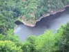 Сайт Сен-Назера - Вид на реку Дордонь, обсаженную деревьями с места Сен-Назера