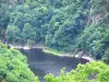 Сайт Сен-Назера - Река с деревьями