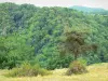 Сайт Сен-Назера - Зеленый и сохранившийся пейзаж