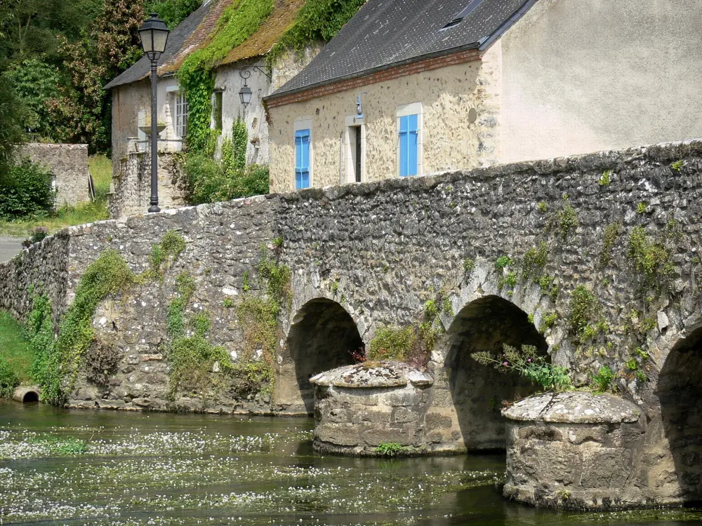 Путеводитель департам Сарта - Asnieres-сюр-Vègre - Старый романский мост через реку Вегре и дома средневековой деревни