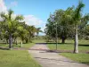 Сент-Андре - Аллеи парка Колоссов обсажены пальмами