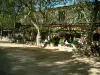 Сент-Поль-де-Ванс - Квадратный мяч с деревьями и кофейной террасой