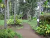 Сен-Лей - Ботанический сад Реюньона: тропа открытий флоры усадьбы