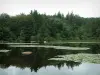 Сидобре - Lac du Merle с водяными лилиями и камнями (блоками), тростником и деревьями леса, отраженными в водах (Региональный природный парк Верх-Лангедок)