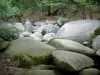 Сидобре - Chaos de la Resse: река камней (блоков) и деревьев (леса), в Региональном природном парке Верхний Лангедок