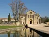 Сильваканское аббатство - Гид по туризму, отдыху и проведению выходных в департам Буш-дю-Рон