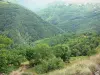 Скала Ронеска - Зеленый пейзаж из базальтового стола Ронеска
