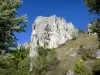 Скалы Соссуа - Каменная стена посреди растительности