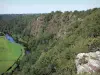 Скалы Хэма - Скалистые утесы, деревья, река (la Vire) и пастбища на краю воды, в долине Vire